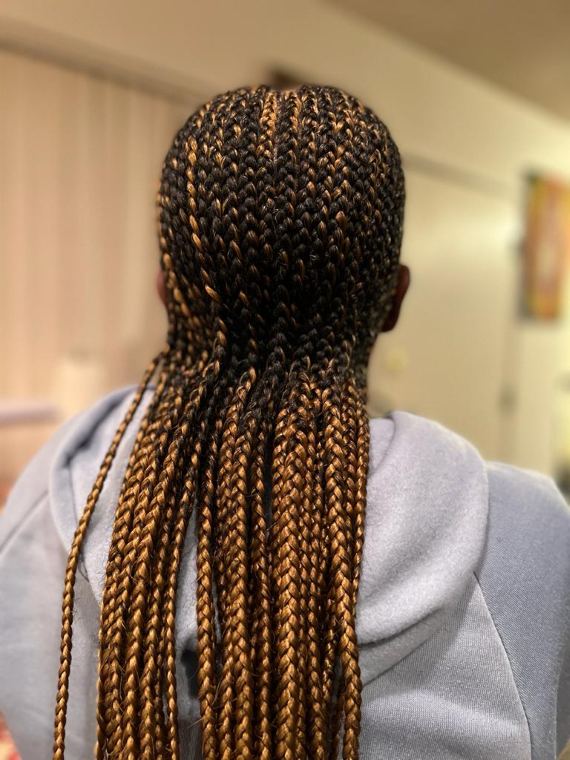 Honey-blonde box braids down the back